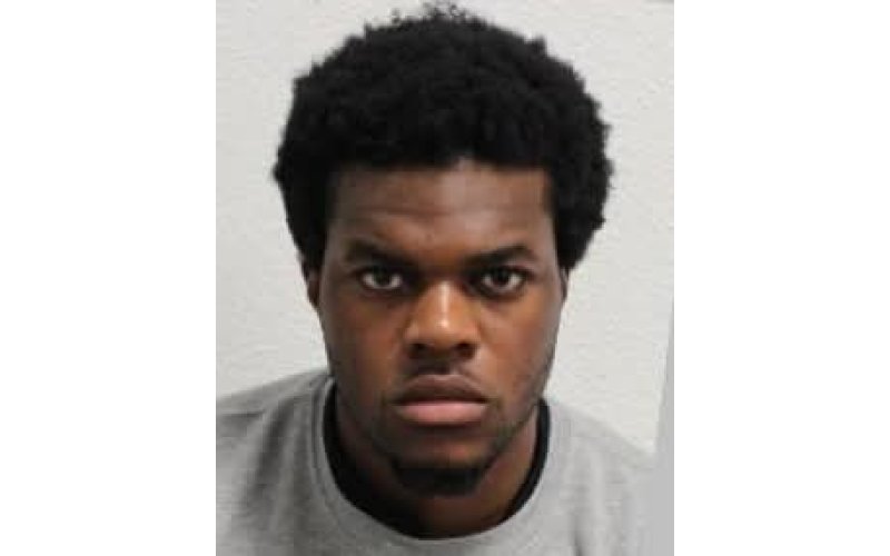 Nigerian Teen Sentenced to Life in UK for Brutal Murder of Robert Robinson