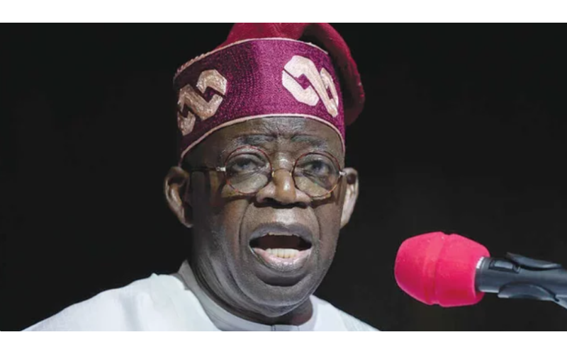 I’ll go after ‘bad’ Nigerians, they are in trouble – Tinubu threatens