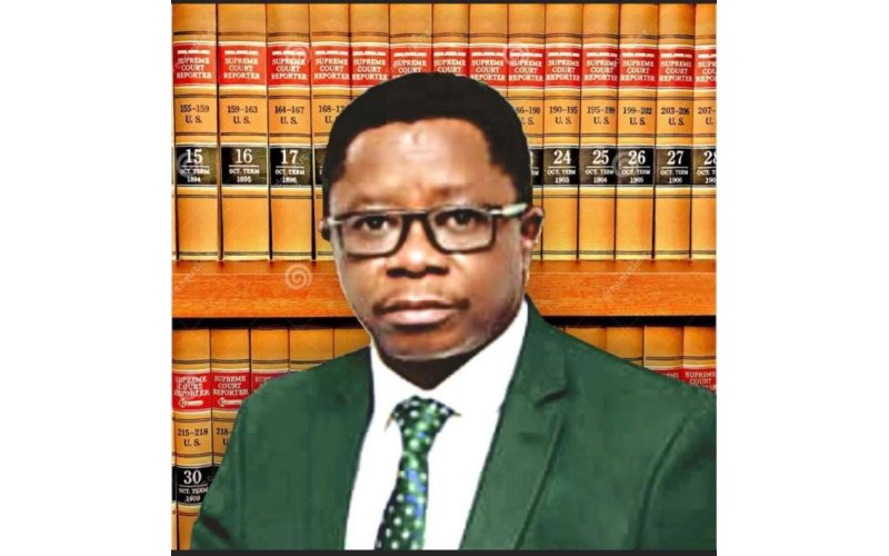 Open letter to President Bola Ahmed Tinubu: Don’t listen to IMF and other Bretton wood institutions; Nigerians are suffering, BY HON SAMSON R. OSAGIE