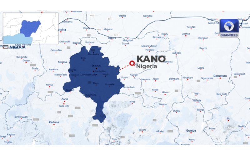 Kano Govt Bans Unauthorized Chainsaw Use, Launches New Permit Framework to Curb Deforestation