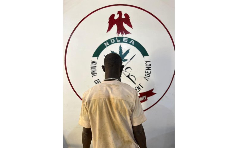 NDLEA Arrests Suspected Drug Dealer in Kano Secretariat During Anti-Drug Operation