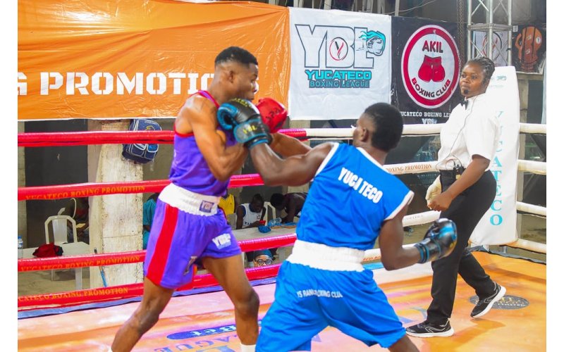 Experts  Praise Yucateco On Kano Boxing Championship