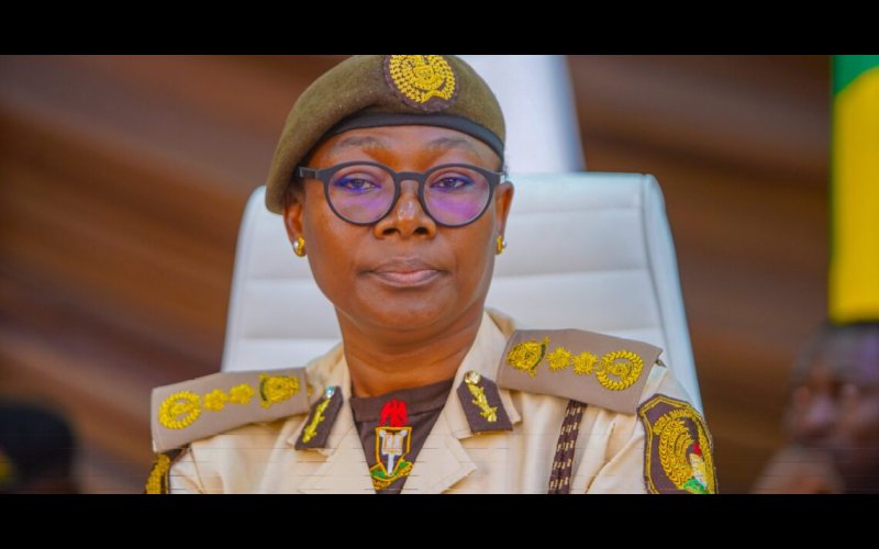 Nigeria Immigration Service Begins Crackdown on Foreigners With Expired Visas