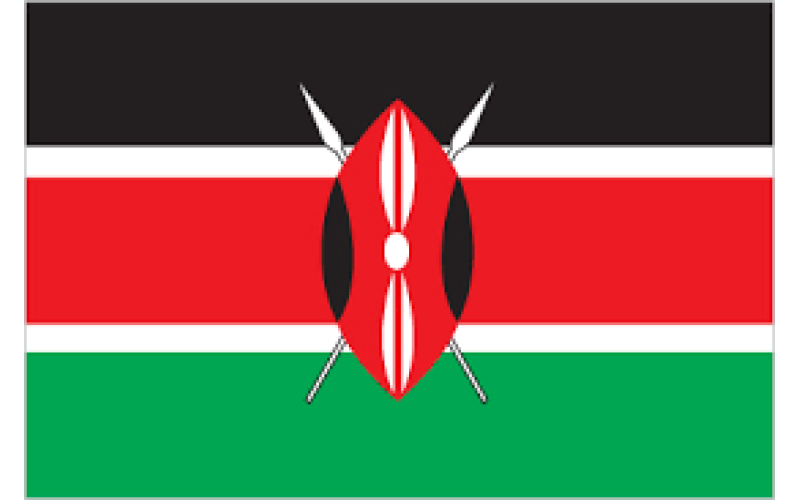 Kenyan President Ruto says Haiti mission to go ahead soon despite court ruling