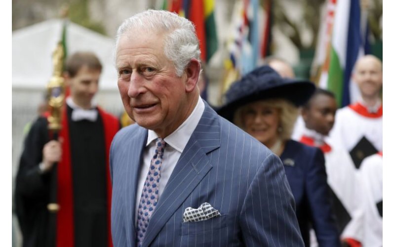 King Charles thanks public in first message since cancer diagnosis