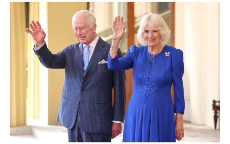 King Charles, Queen Camilla Meet Pope Francis on Wedding Anniversary