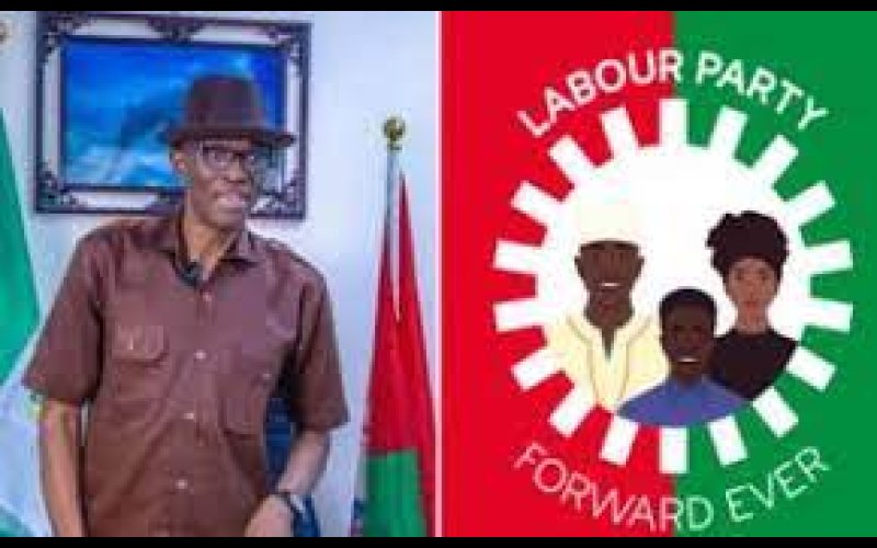 Labour Party Set Up Disciplinary Committee To Try National Treasurer, Oparah