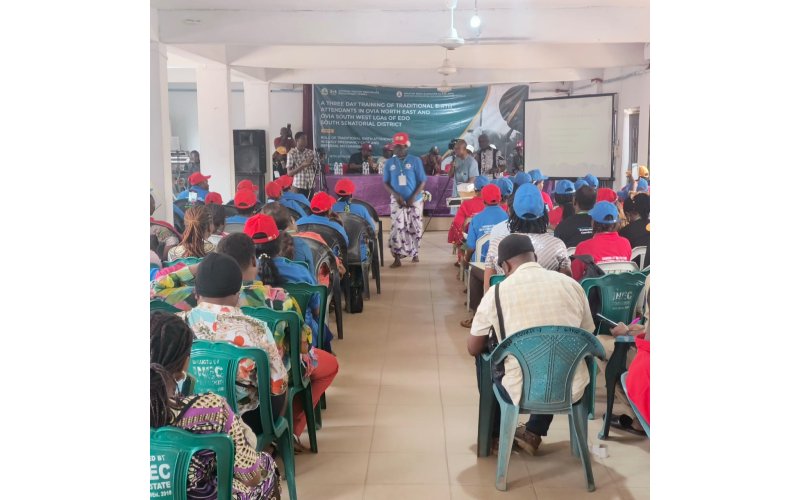 Maternal Health: Senator Neda Imaseun Charges Traditional Birth Attendants On Minimising Risks During Delivery