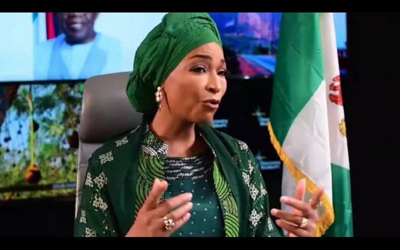 We will contribute $100bn to Nigeria’s economy by 2030 – Minister