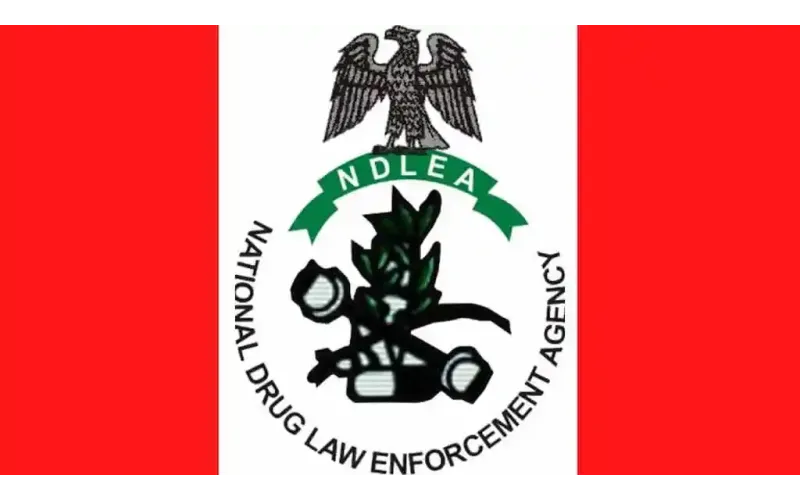 NDLEA Arrests Lagos Drug Kingpins, Foils Supplies to Bandits, and Destroys 24,000kg Cannabis in Nationwide Crackdown