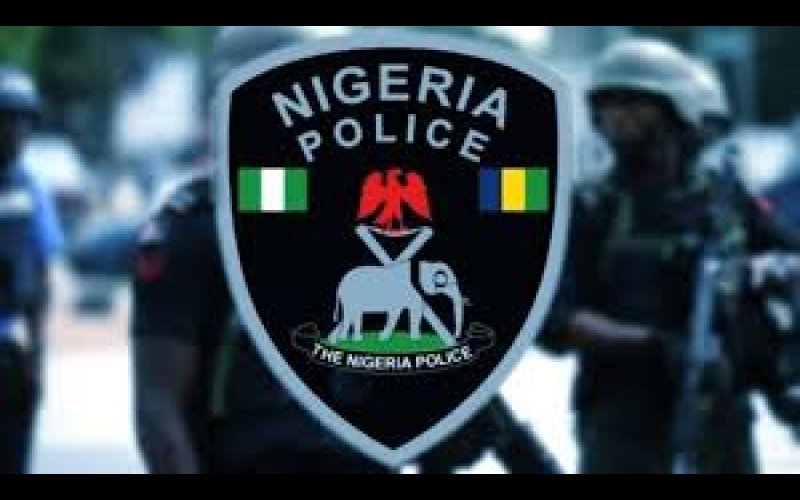 Delta Police Kill Two, Arrest Kidnappers, Cultists, Others, Recover Arms, Stolen Vehicles 