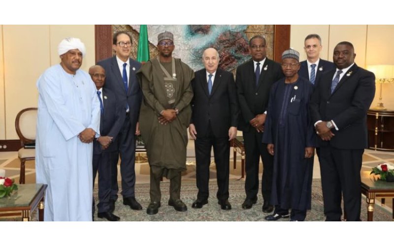 NSC Chairman Seeks Greater Collaboration With Algerian Govt in Sports 