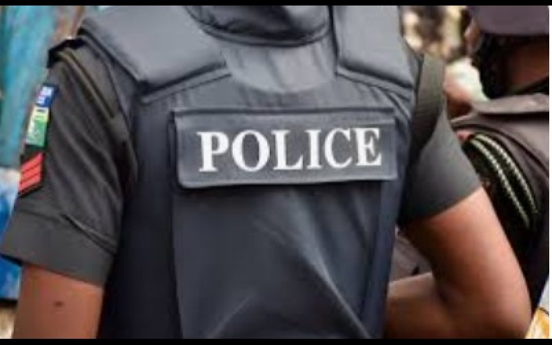 Police Bust Baby Factory in Ondo, Rescue Five Pregnant Girls