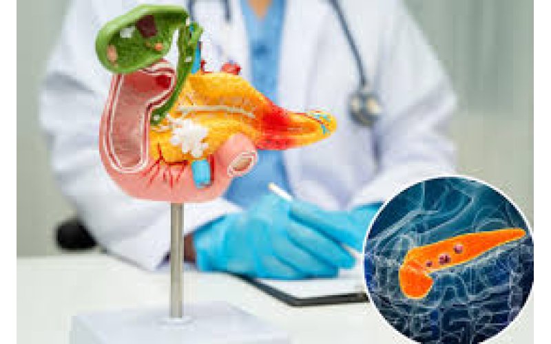 Breakthrough Hopes Emerge in Fight Against Pancreatic Cancer Despite Low Survival Rates