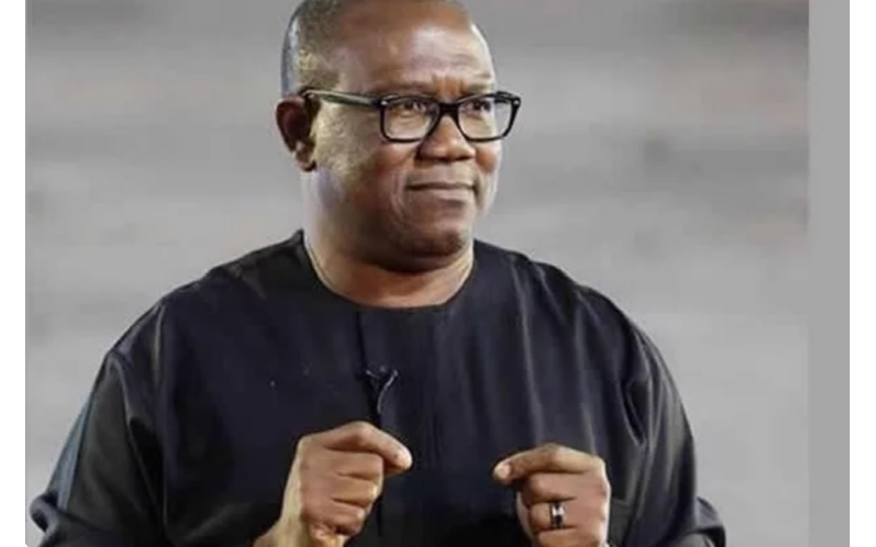 He called on the leaders of the country to show true commitment by prioritizing the welfare and well-being of the citizens.   Peter Obi  Peter Obi, the 2023 presidential candidate of the Labour Party (LP) has taken a swipe at President Bola Tinubu and his