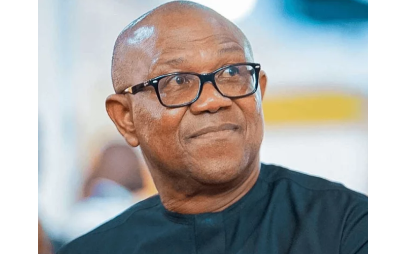 Peter Obi Urges Urgent Government Action Over Rising Killings and Abductions