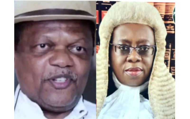 EdoDecides: I Would Not Write Off The New CJN Prematurely, Let Us Think Positively – Atedo Peterside