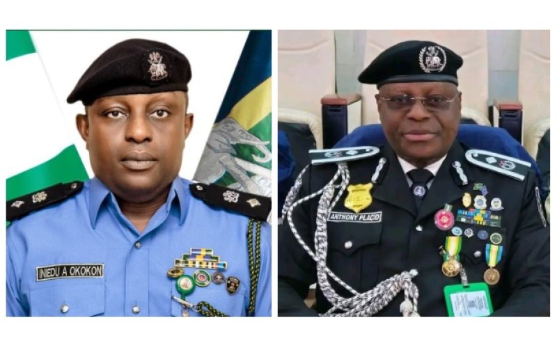 IGP Appoints Anietie Iniedu as New Police Spokesman