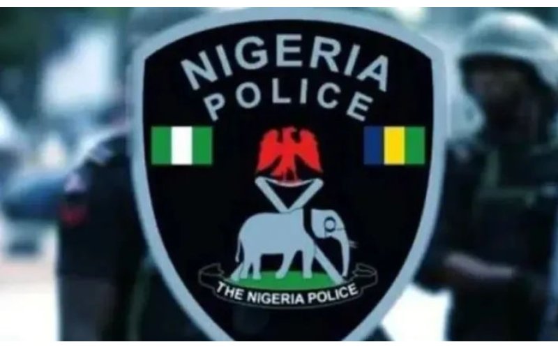 Four Arrested in Katsina After Mob Kills Man and Burns Body Over Violent Dispute