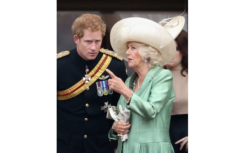 Prince Harry ‘preferred not to be in the same room’ as ‘villain’ Queen Camilla during brief UK trip: longtime pal