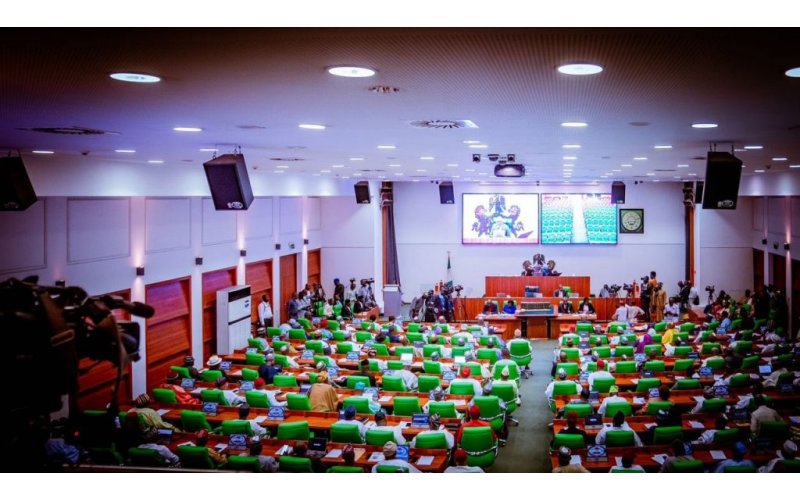 Suspend Implementation Of Samoa Agreement, Reps Tells FG 