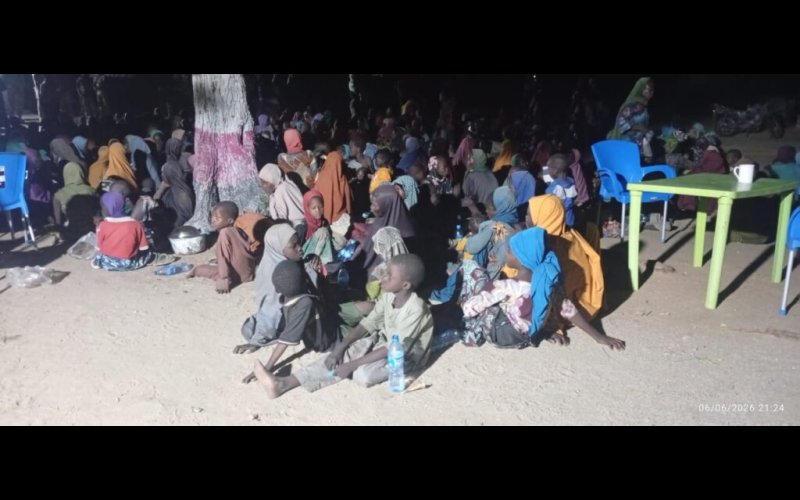 Troops Rescue 360 Abductees from Terrorist Enclave in Borno After Major Intelligence-Led Operation