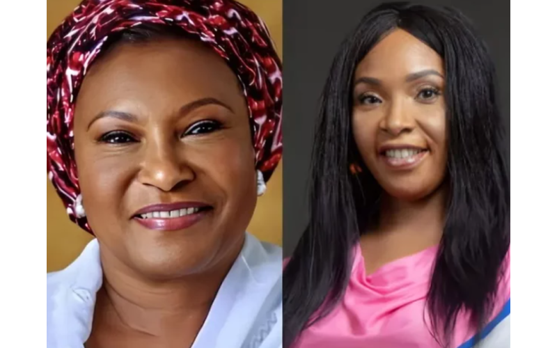It’s Unfortunate That We Have A Senator As Ireti Kingibe, It’s Sad She Bears My Name -Ireti Bakare