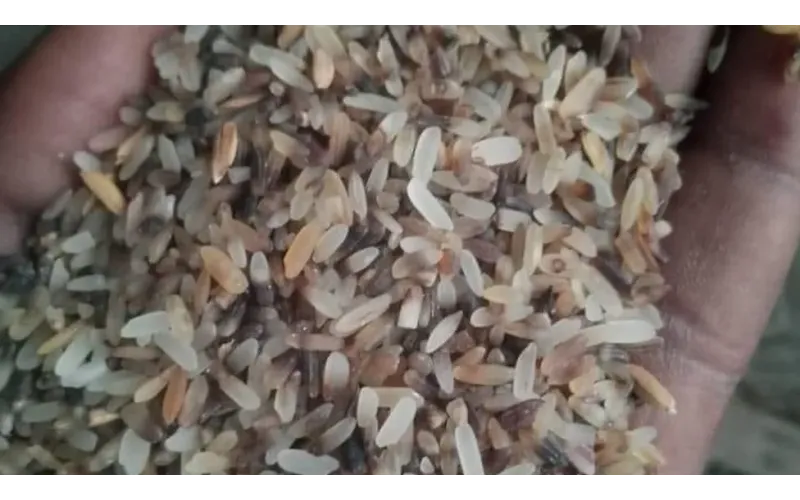 Nigeria cost of living: People turn to 'throw-away' rice for food