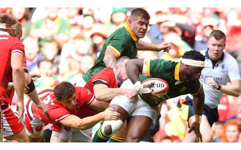 Wales to face world champions South Africa at Twickenham in June