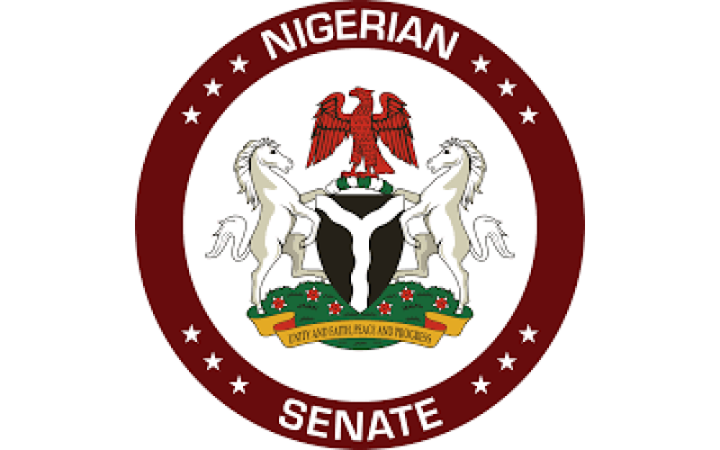 Terrorism/kidnapping: Influential Northern Senator Under Watch 