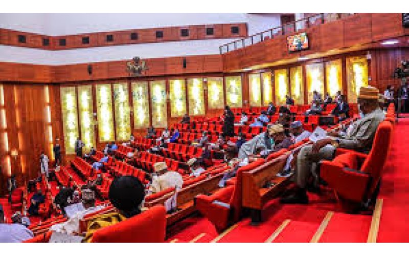 Senate to Amend Constitution for Full LG Autonomy