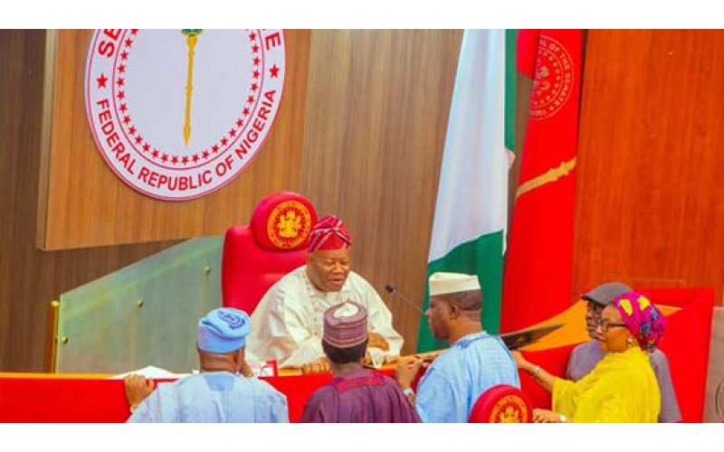 Senate Rectifies Procedural Error In Resolution To Remove CCT Chairman