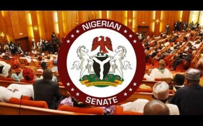 Senate Reopens Debate on Proceeds of Crime Bill Over Legal and Policy Concerns