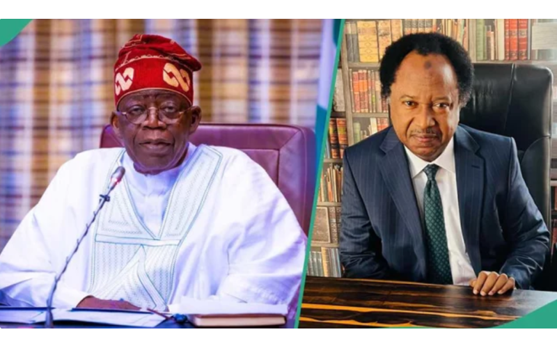 EndBadGovernance: Shehu Sani Tells Tinubu To Immediately Withdraw Charges Against Detained Minors
