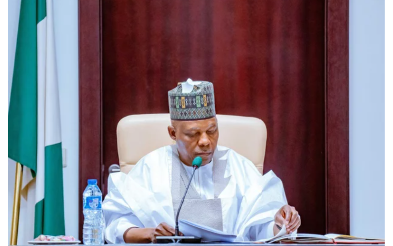 Our Economic Decisions Are Yielding Fruits – FG Tells NEC