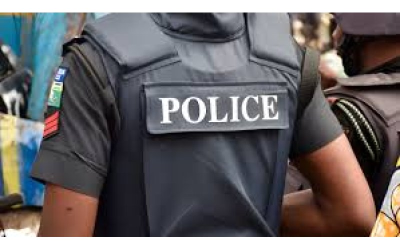 Policing: is it state police or police state