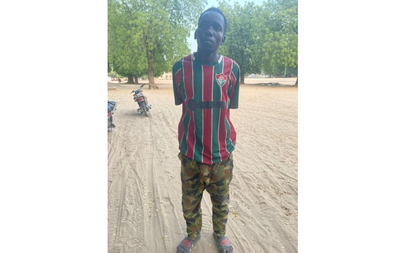 Troops Arrest Suspected Boko Haram Fighter Attempting to Enter Maiduguri