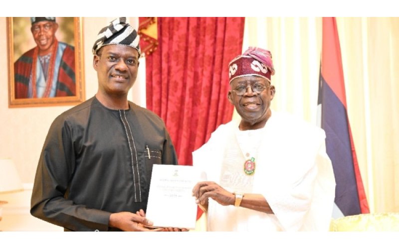 Tinubu Nominates Taiwo Oyedele as Minister of State for Finance, Moves Uzoka-Anite to Budget Ministry