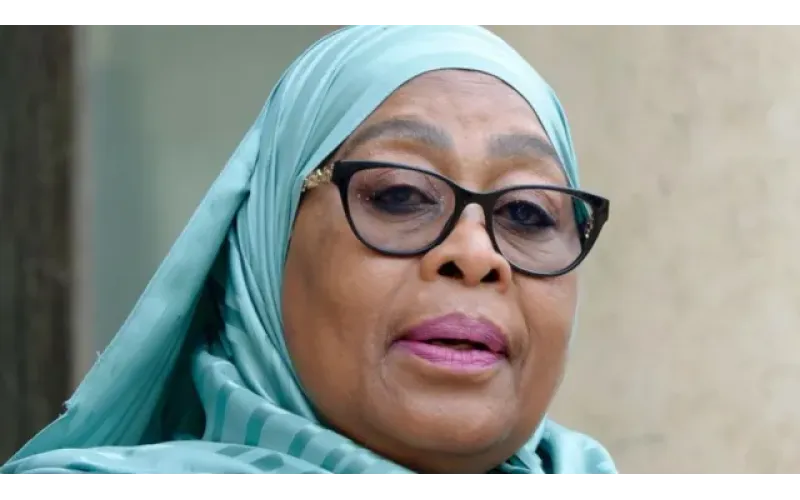 Tanzanian artist who burned president's picture jailed
