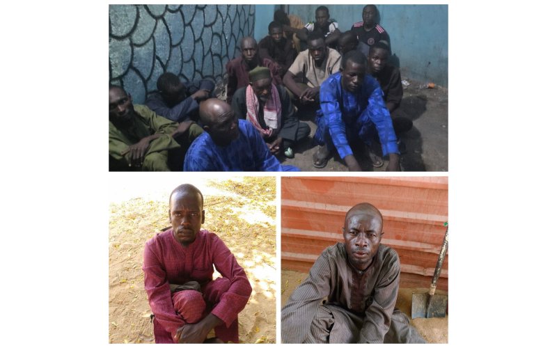 Troops Arrest Two Boko Haram Logistics Suppliers in Gubio, Total Hits 53 in One Week