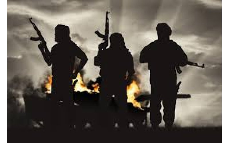 Terror Attacks Surge in Nigeria as Death Toll Hits 750 – Global Report