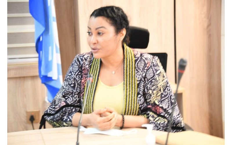 Uzoka-Anite Announces $30bn Foreign Investment Commitments in Past Eight Months