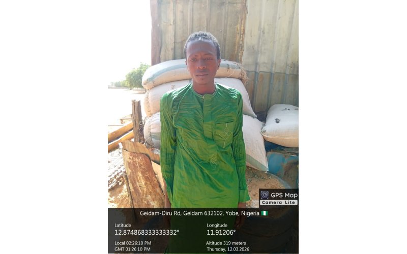 Troops Arrest Suspected Terrorist Informant During Security Operation in Yobe