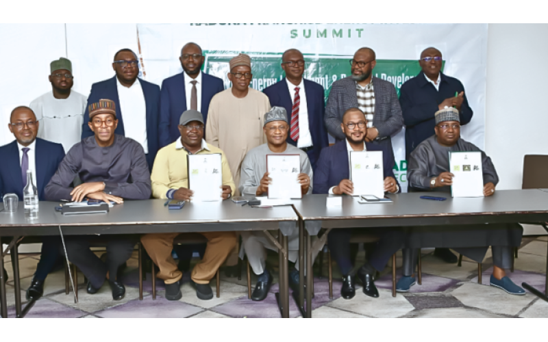 Kaduna Moves to Build Regional Power Market, Attracts Investors at Energy Summit