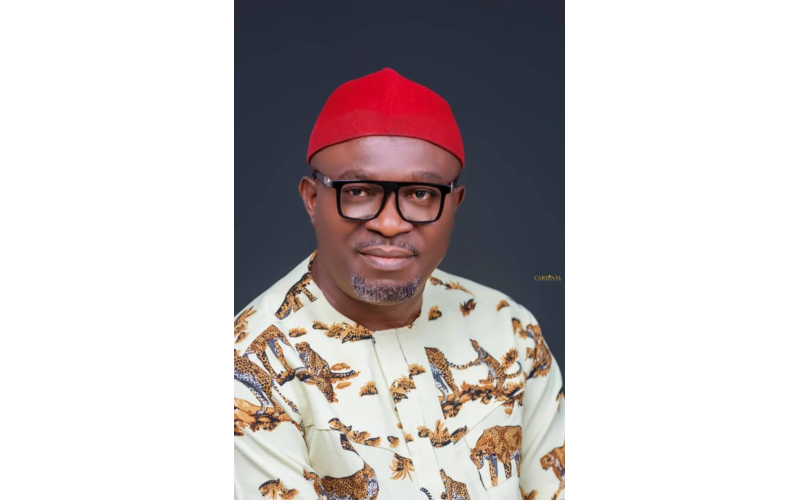 Udeh-Okoye Assumes Office As PDP National Secretary