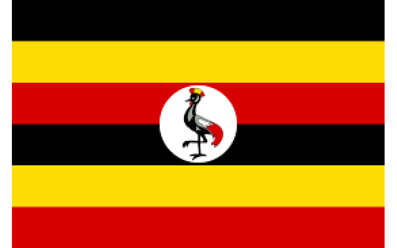 Henry Okello Oryem: Uganda minister says people dying of hunger are 'idiots'