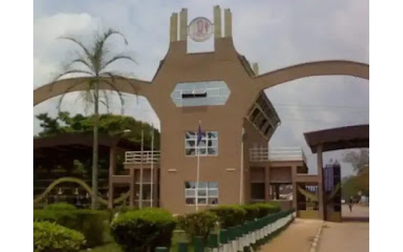 385 Bags First Class in UNIBEN As School Confers Honorary Doctorates on Iyase's Wife, Ikpea, Others