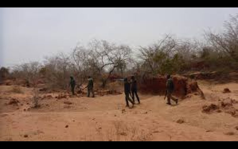  Vigilante Killed in Bauchi Ambush as Security Forces Neutralize Bandits, Arrest Suspects