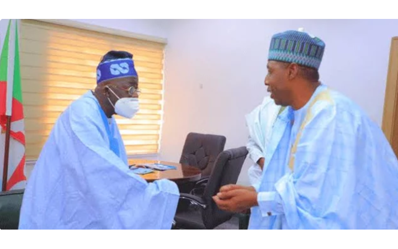 There Will Be Consequences If Tinubu Uses His Power To Pass Tax Reform Bills – Zulum