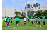 Sadiq Umar Missing As 22 Super Eagles Players Train in Abidjan Ahead Benin Republic Clash